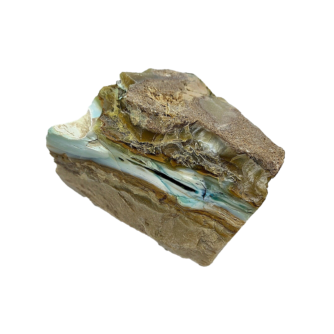 Opalized Wood